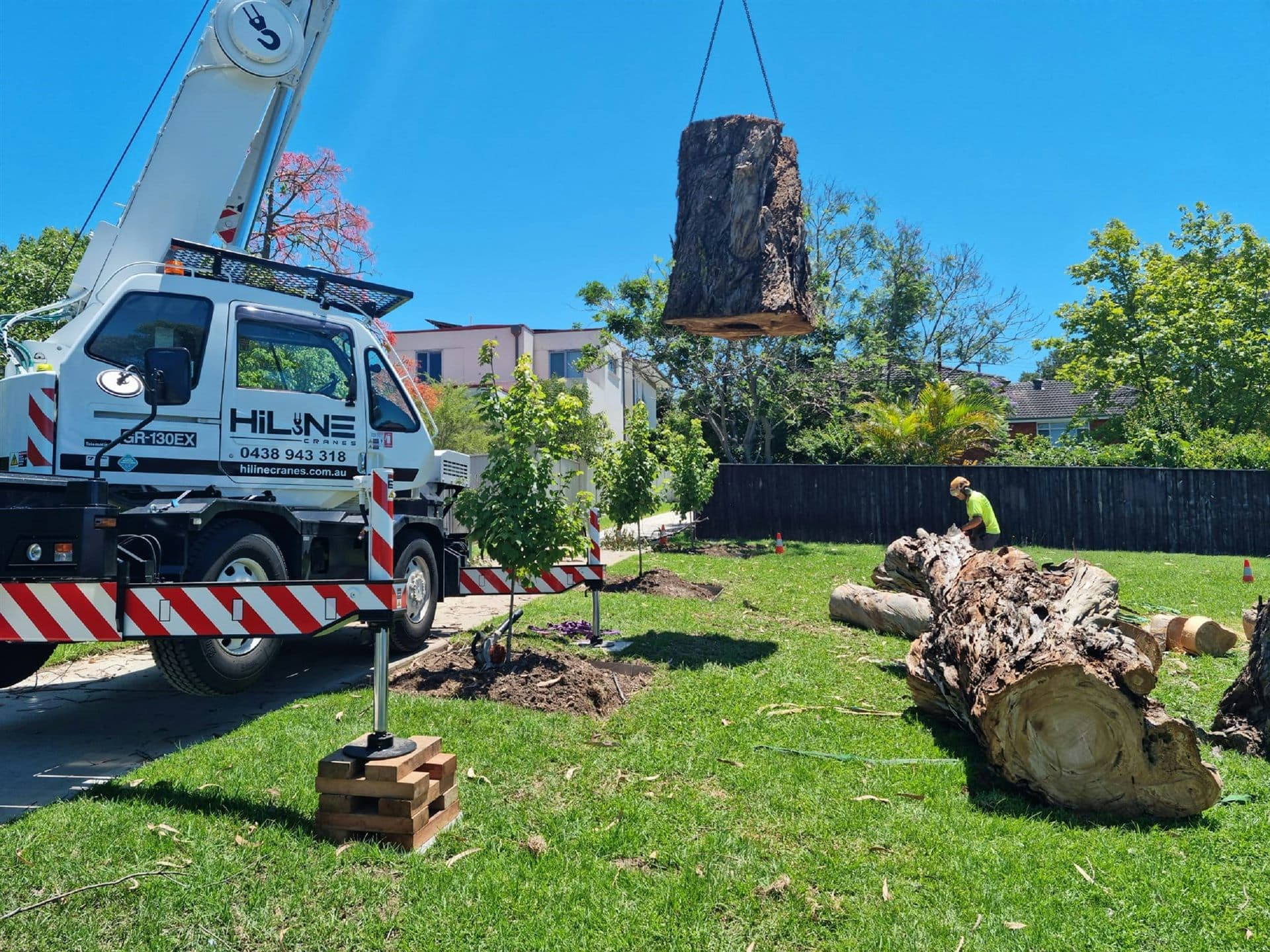 Representative visual of tree trimming work