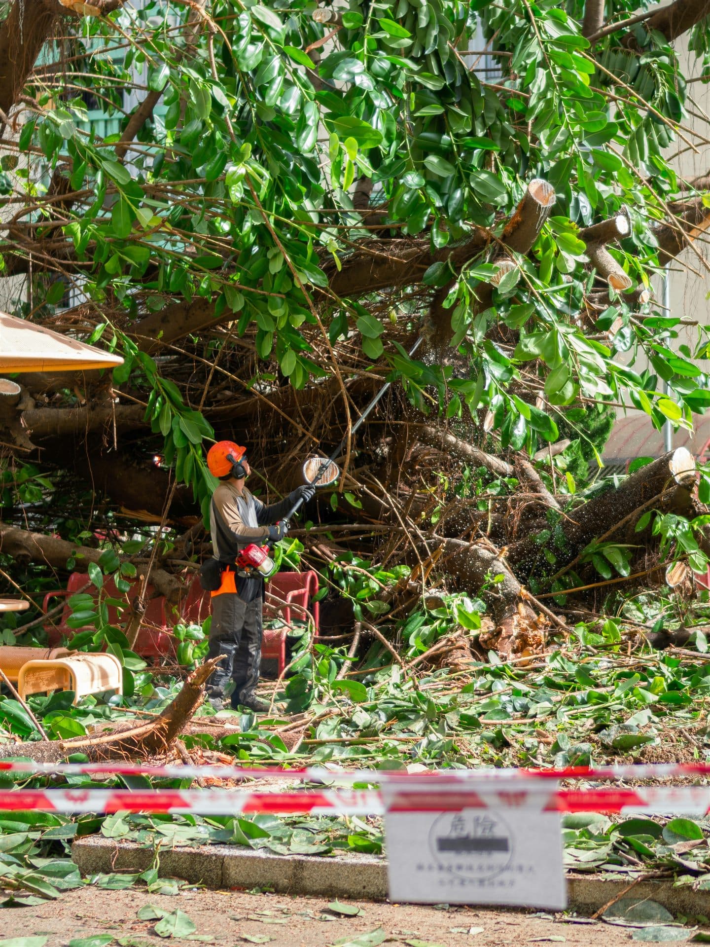 Representative visual of storm cleanup work